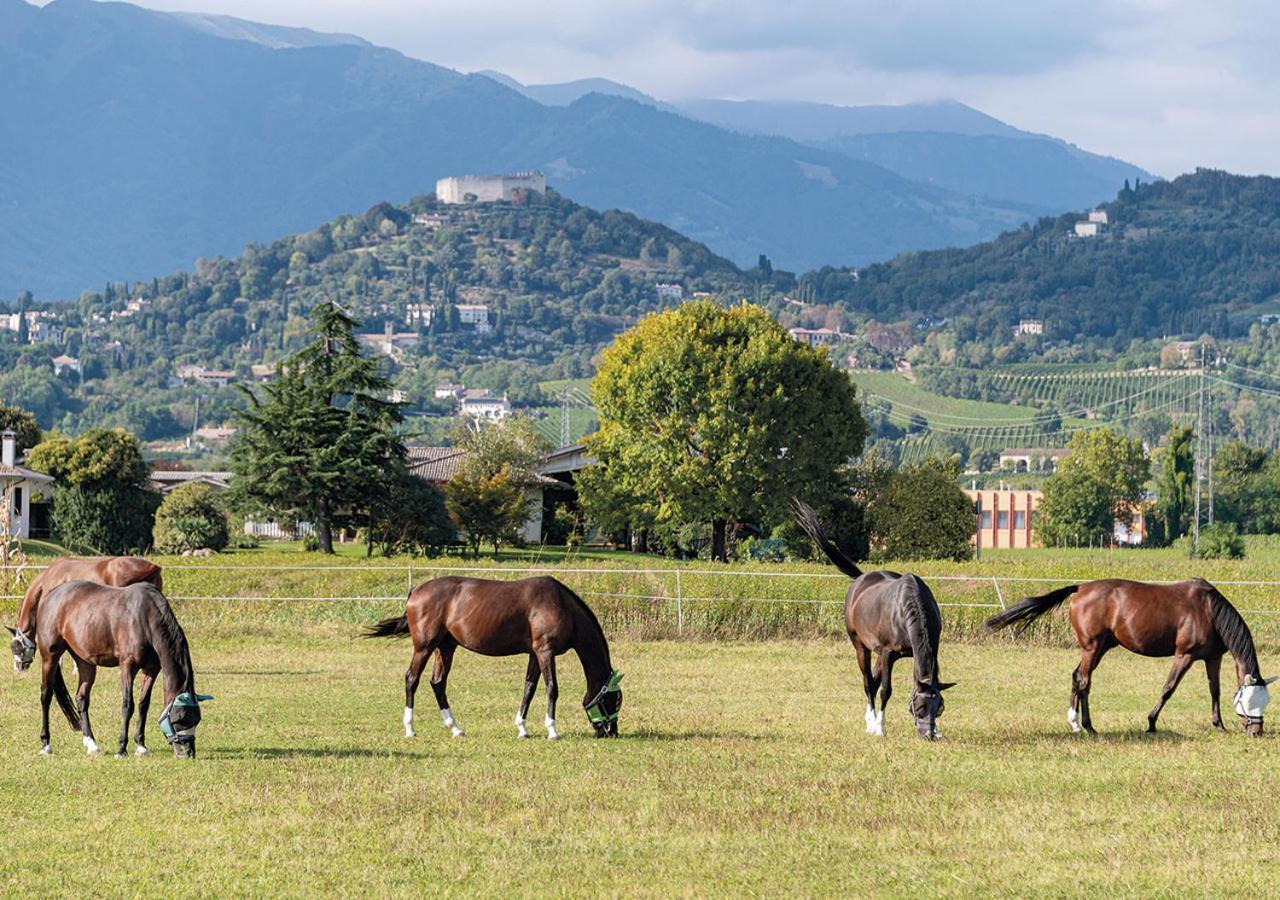 Progress Country & Wine House Aparthotel Asolo Bagian luar foto