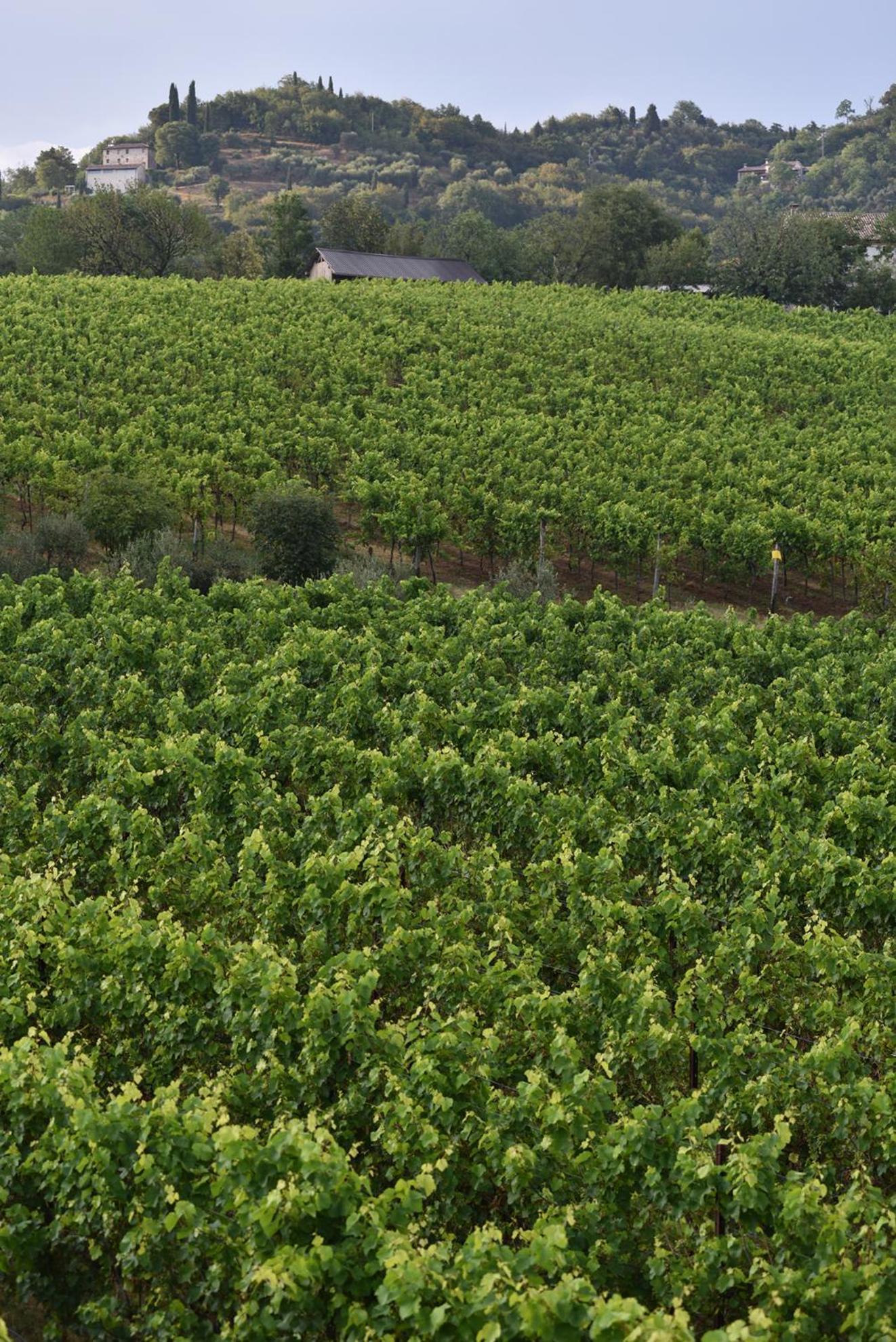 Progress Country & Wine House Aparthotel Asolo Bagian luar foto